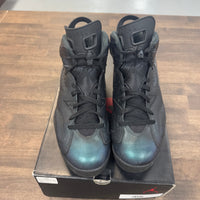 All Star Chameleon Jordan 6 (USED)