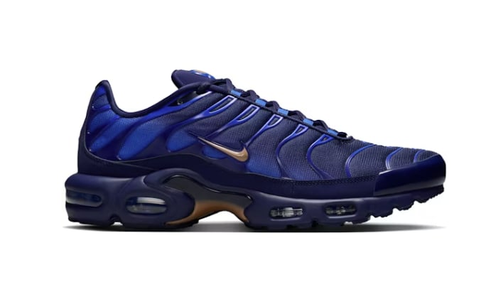 Nike Air Max Plus French Football Federation