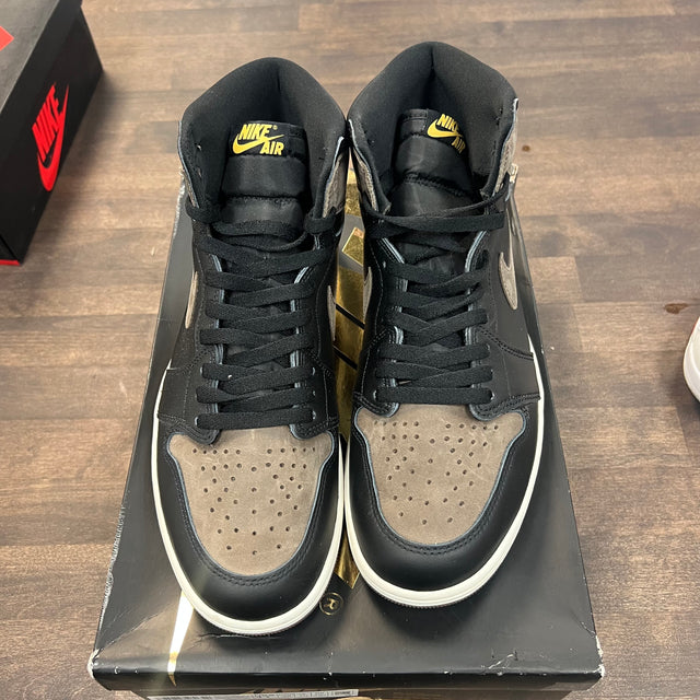 Palomino Jordan 1 High (USED)