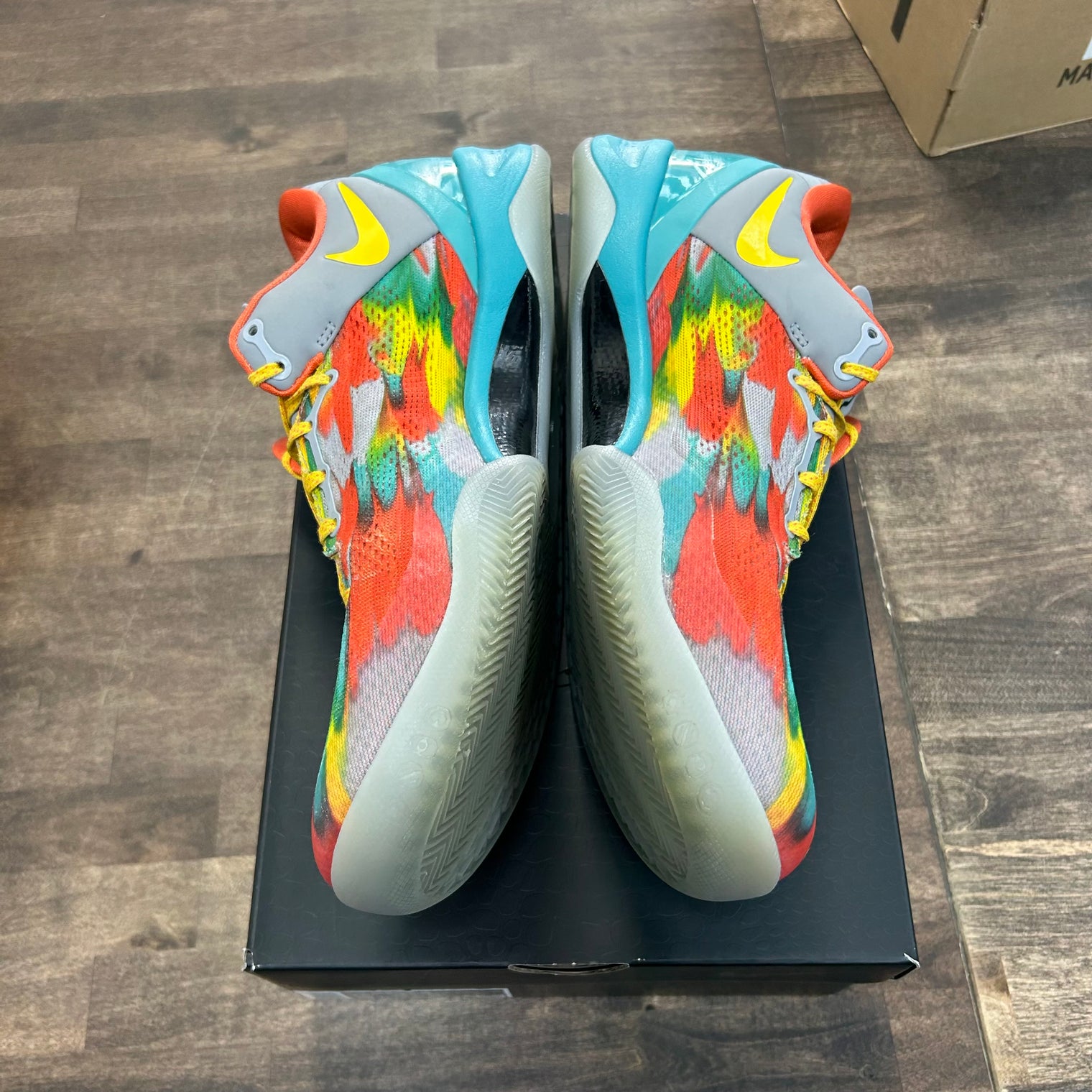 Venice Beach Kobe 8 Protro (USED)