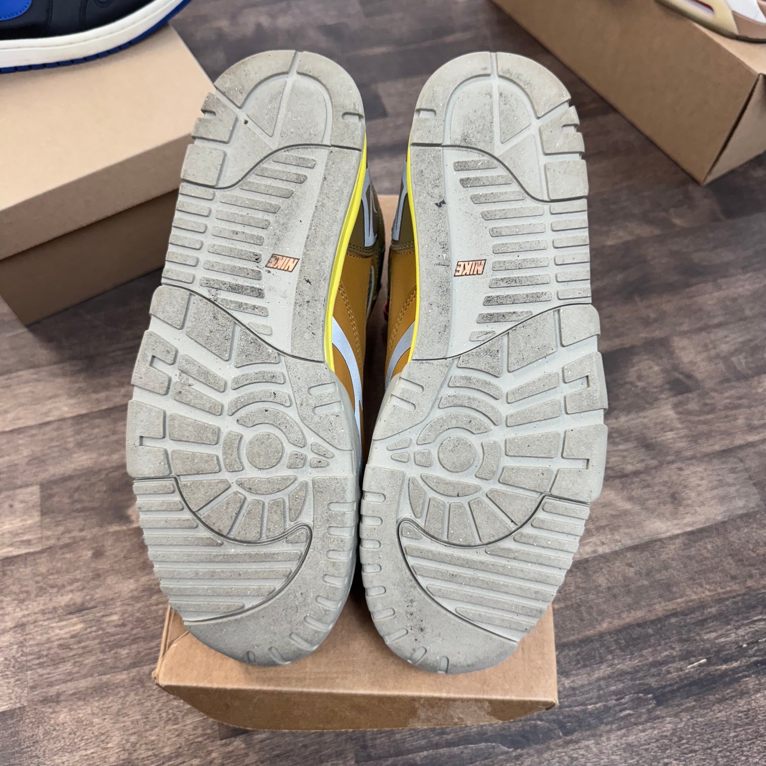 Coriander Air Trainer 1 (USED, No Box)