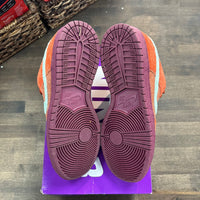 Mystic Red SB Dunk Low (USED)