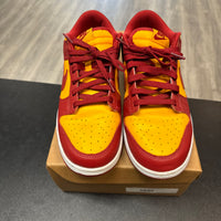 Midas Gold Nike Dunk Low (USED;NO BOX)