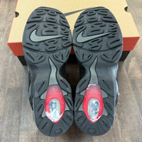 Nike Air DT Max '96 Falcons (USED)