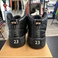 Master Jordan 12 Retro (USED, no box)