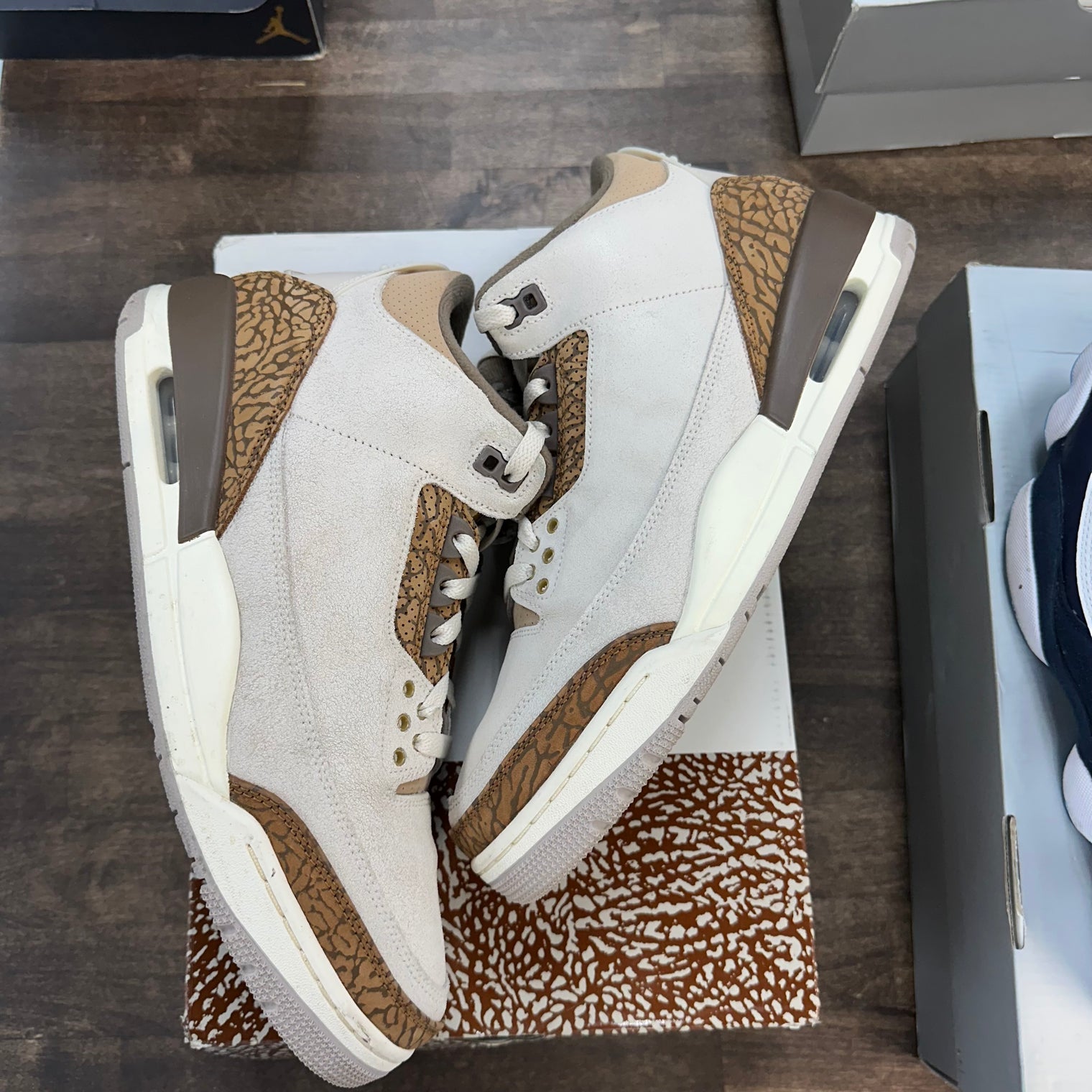 Palomino Jordan 3 Retro (USED)