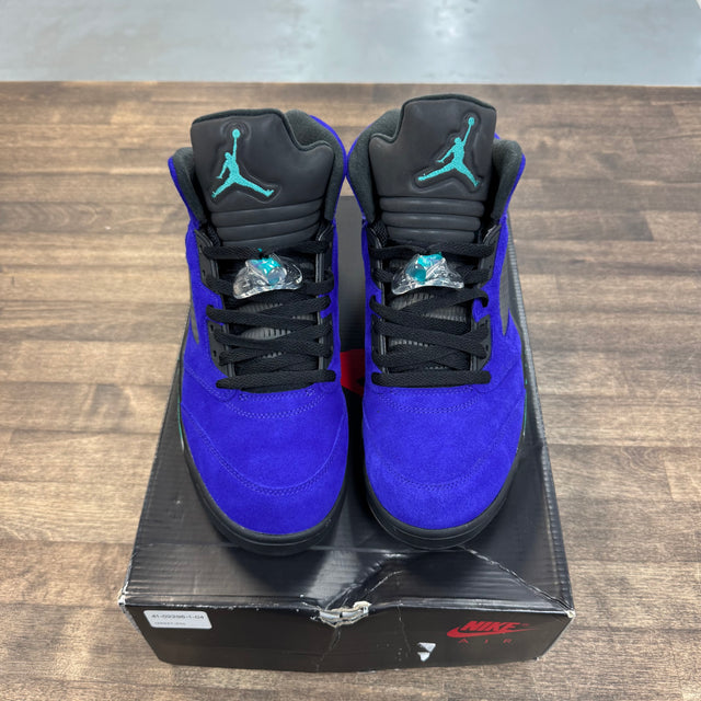 Alternate Grape Jordan 5 (USED)