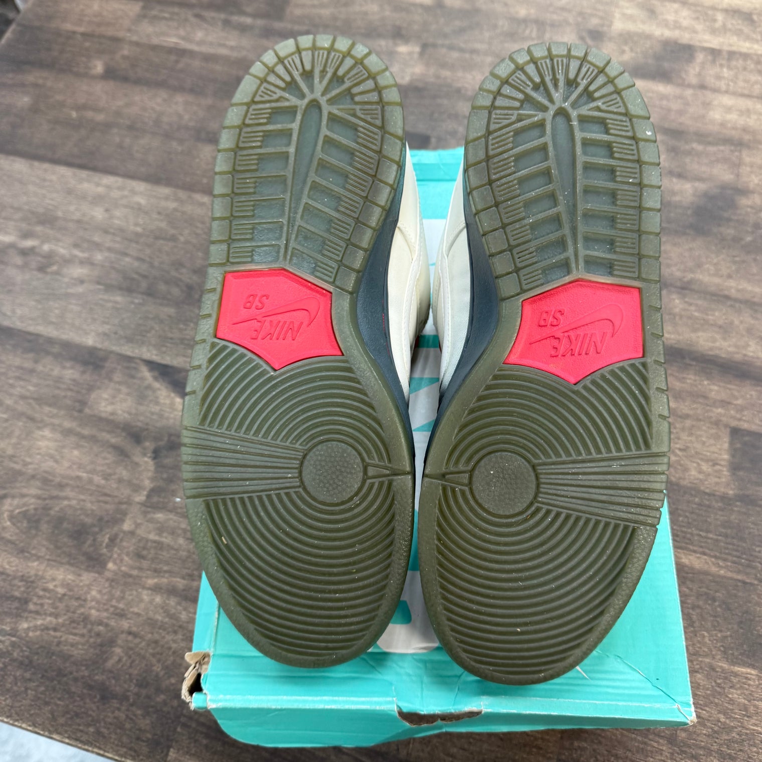 Dorothy SB Dunk Low (USED)