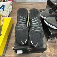 Masters Jordan 12 Retro (GS) (USED)
