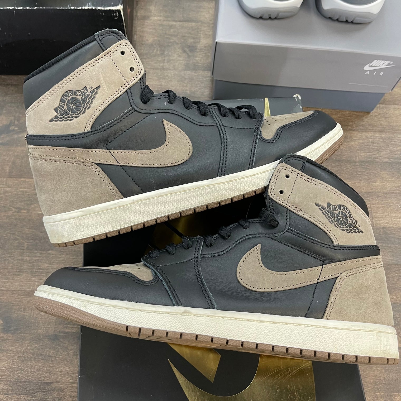 Palomino Jordan 1 High (USED)