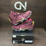 Nike LeBron 12 Double Helix Size 9 (Pre-Owned) - front