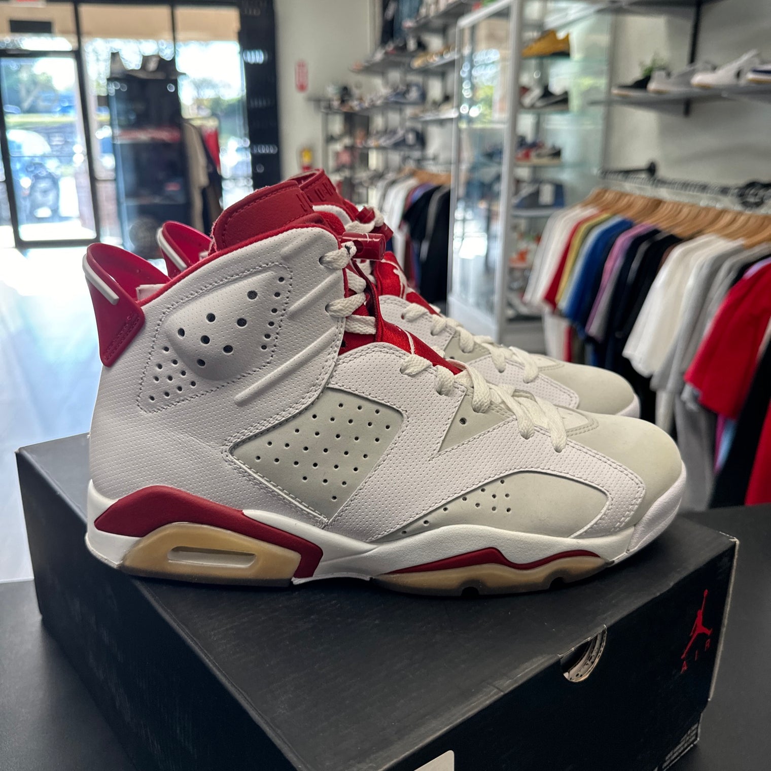 Alternate Hare Jordan 6 (USED)