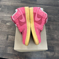 Adobe Nike SB Dunk Low (USED,No Box)