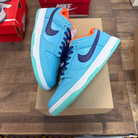 Baltic Blue Total Orange Nike Dunk Low (USED, No Box)