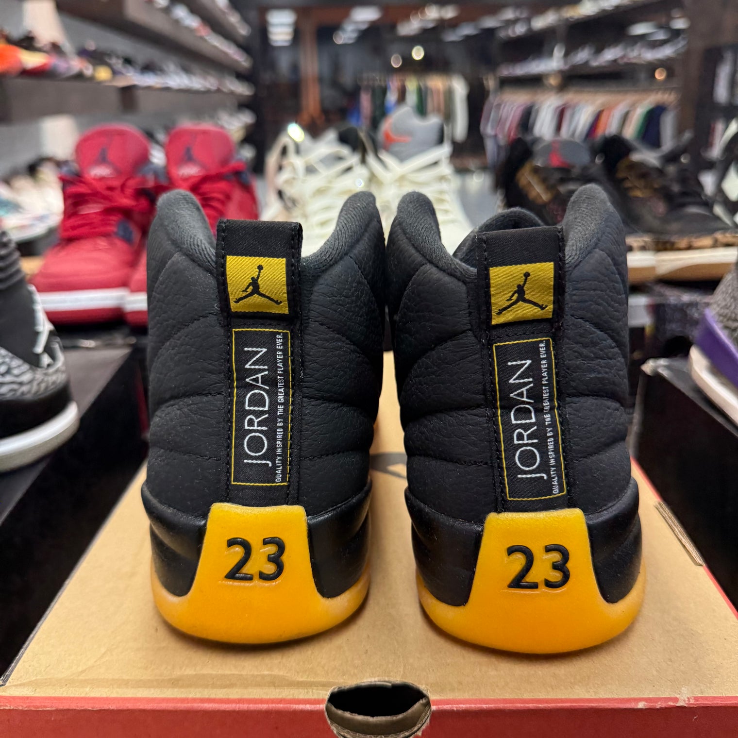 University Gold Jordan 12 Retro (USED)