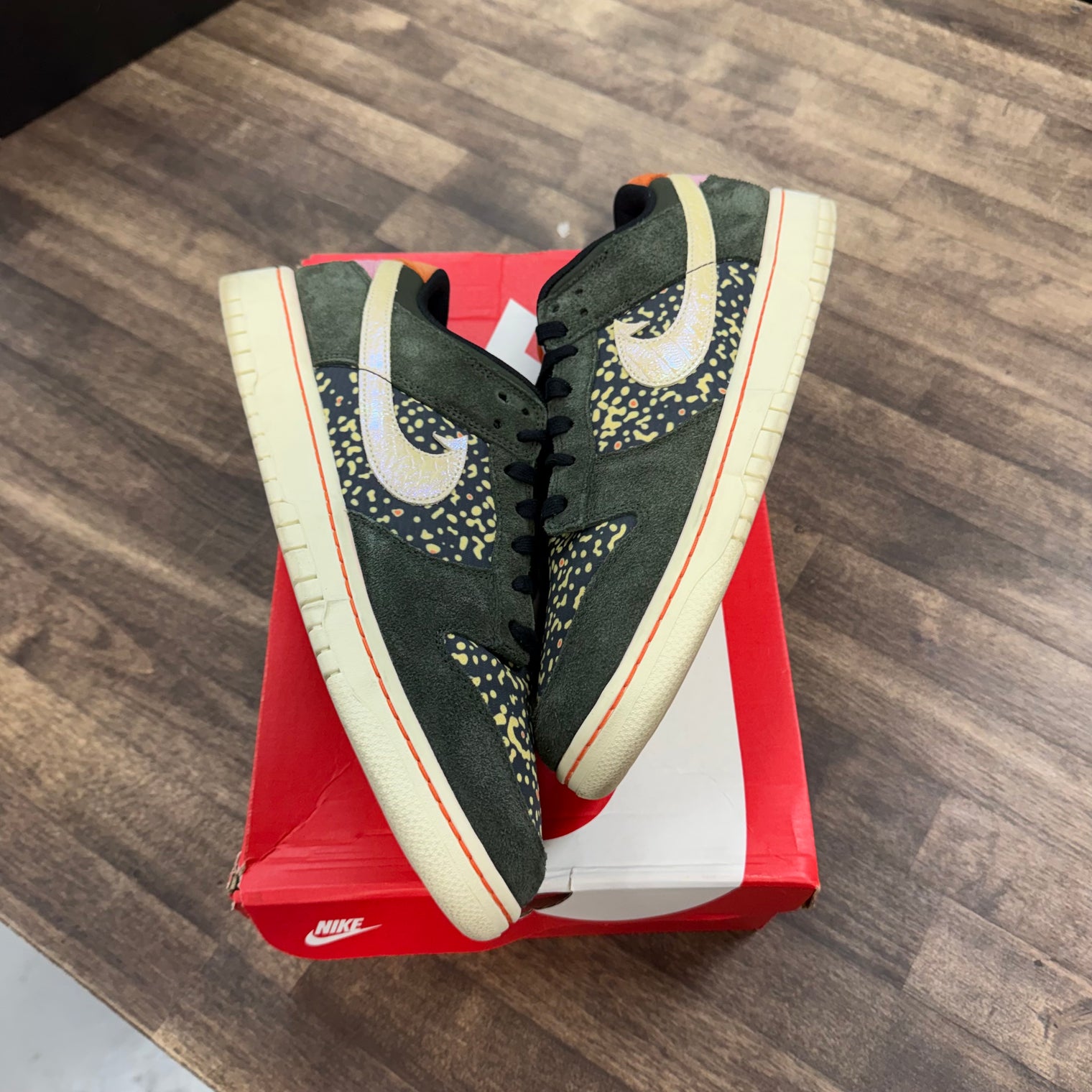 Gone Fishing Rainbow Trout Nike Dunk Low SE (USED)