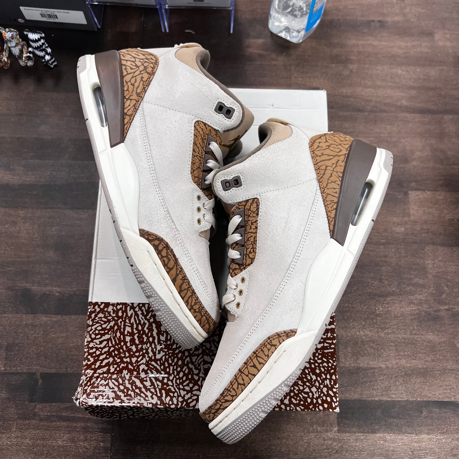 Palomino Jordan 3 (USED)