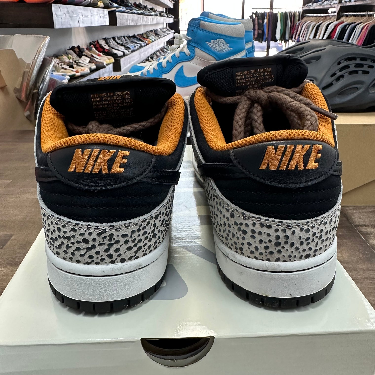 Electric Pack Olympic Safari SB Dunk Low (USED)