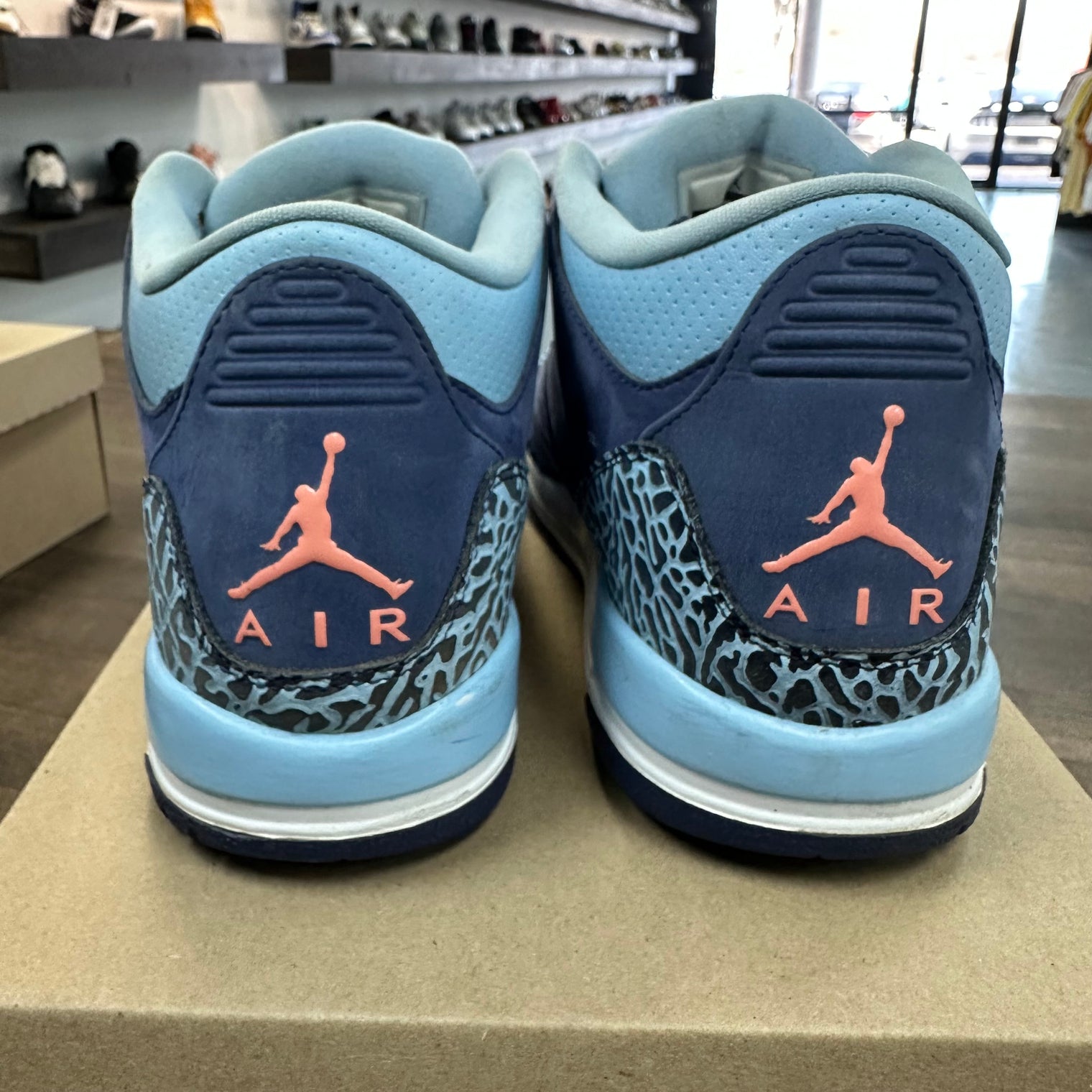 Purple Dust Jordan 3 (GS) (USED, No Box)