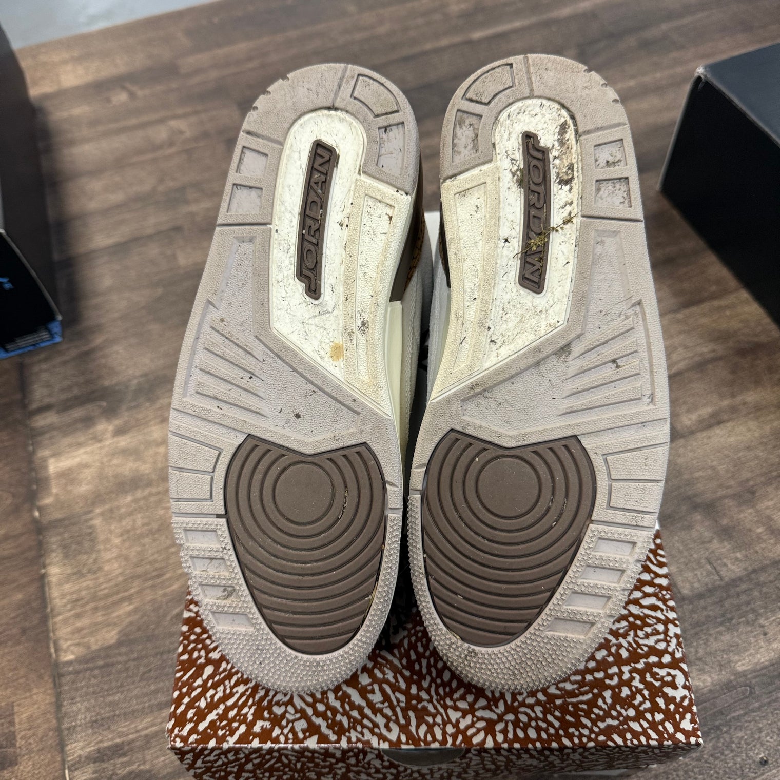 Palomino Jordan 3 Retro (USED)