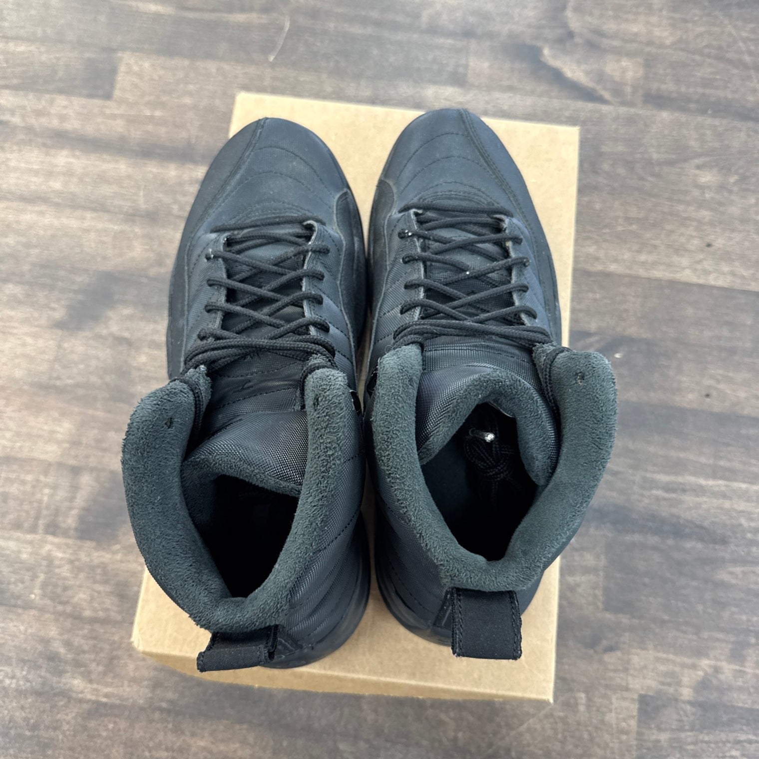 Winter Black Jordan 12 (USED, No Box)