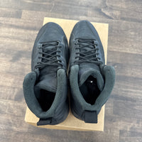Winter Black Jordan 12 (USED, No Box)