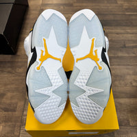 Yellow Ochre Jordan 6 Retro (Lightly Worn)