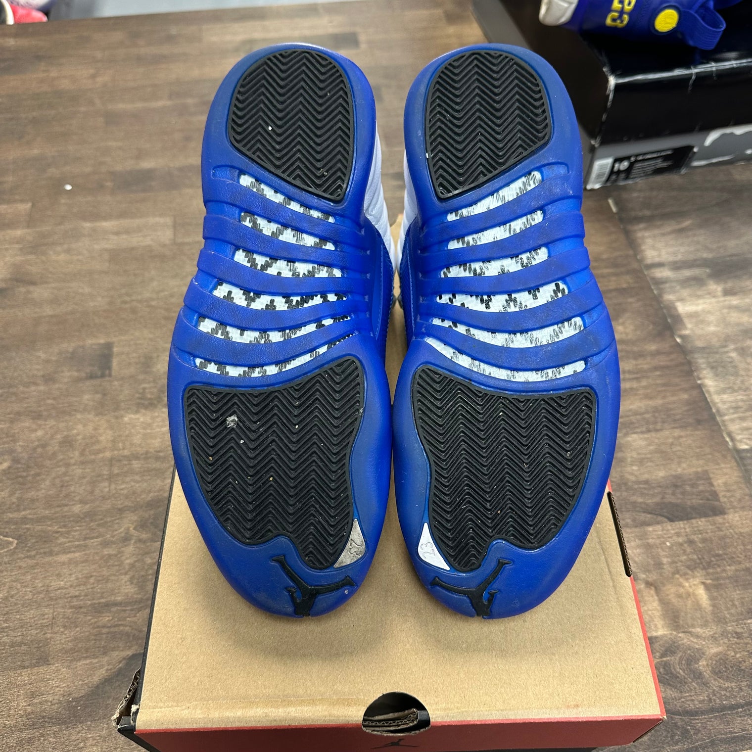 Blueberry Jordan 12 (USED)