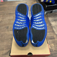 Blueberry Jordan 12 (USED)