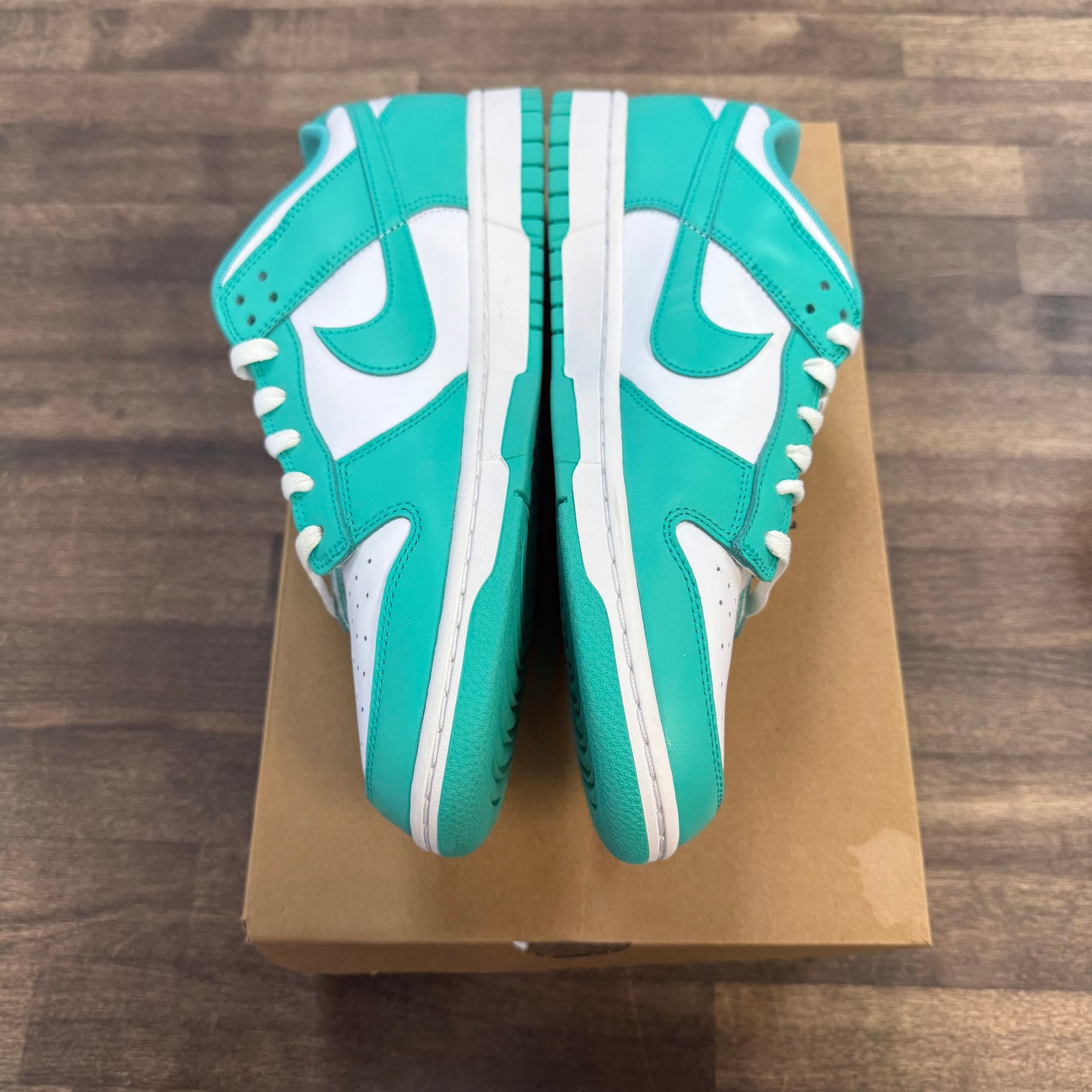 Clear Jade Nike Dunk Low (USED, Replacement Box)