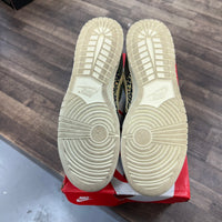 Gone Fishing Rainbow Trout Nike Dunk Low SE (USED)