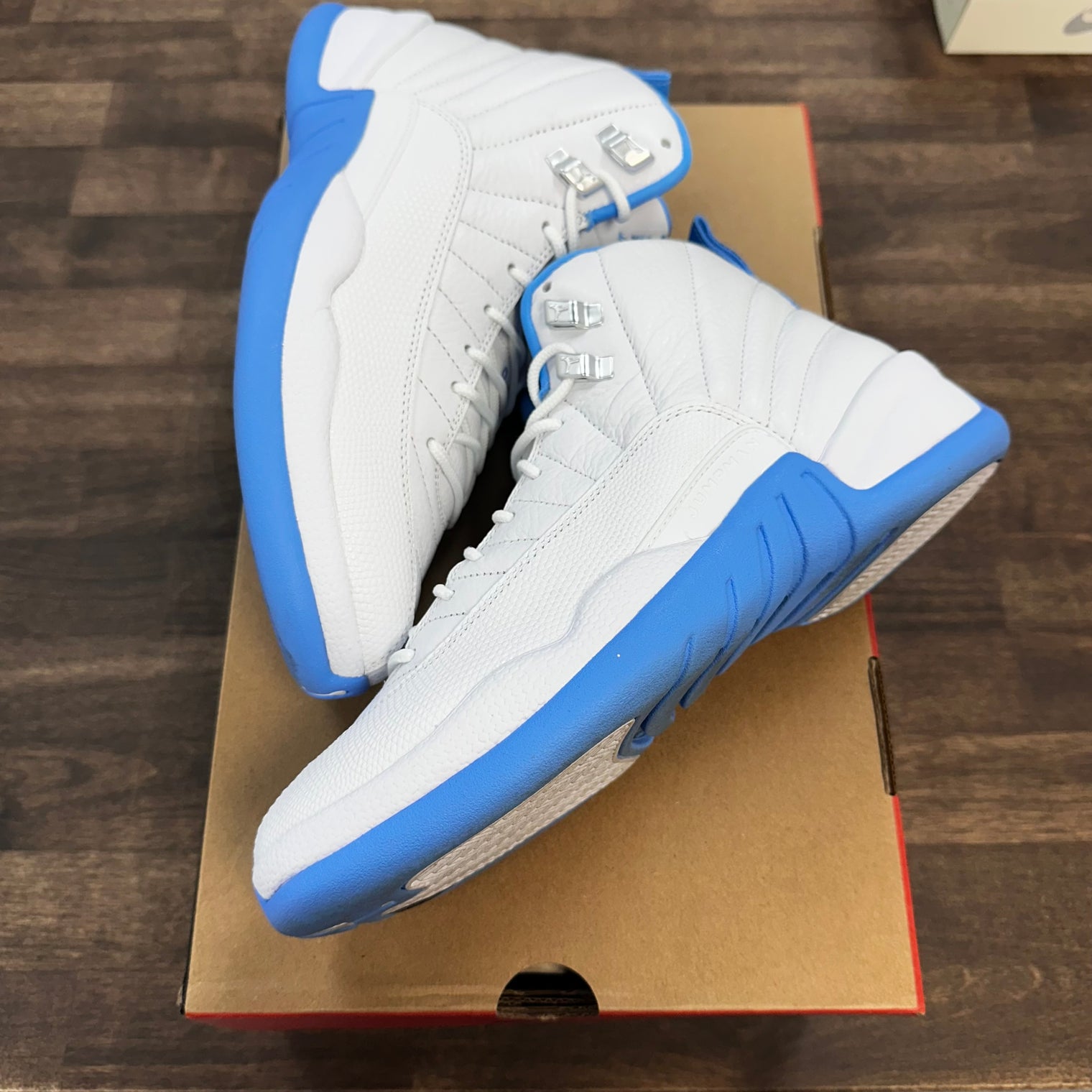 Melo Jordan 12 (Lightly Worn)