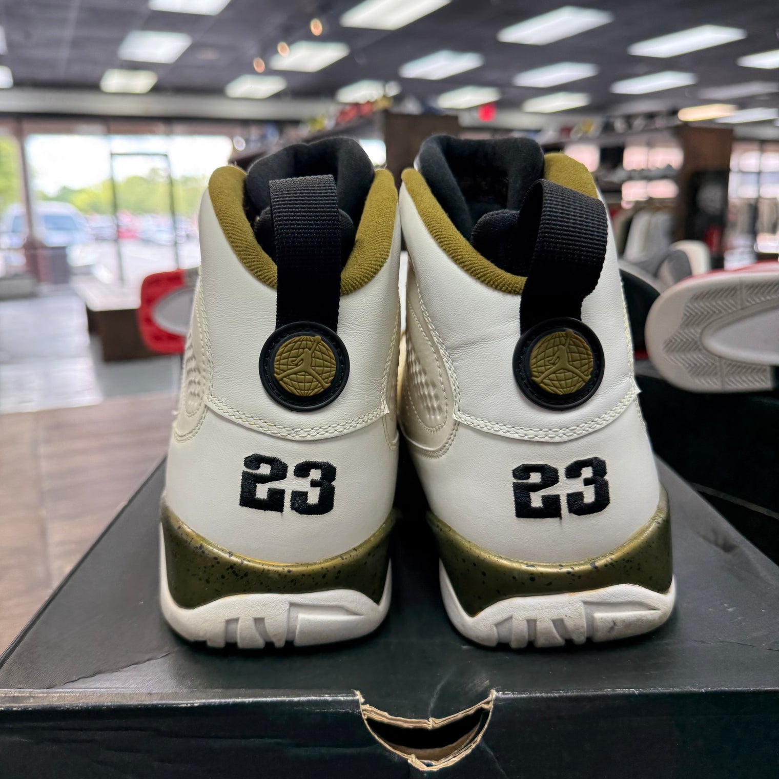 Statue Jordan 9 (USED)