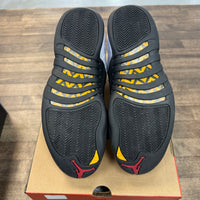 Taxi Jordan 12 Retro (2025) (USED)