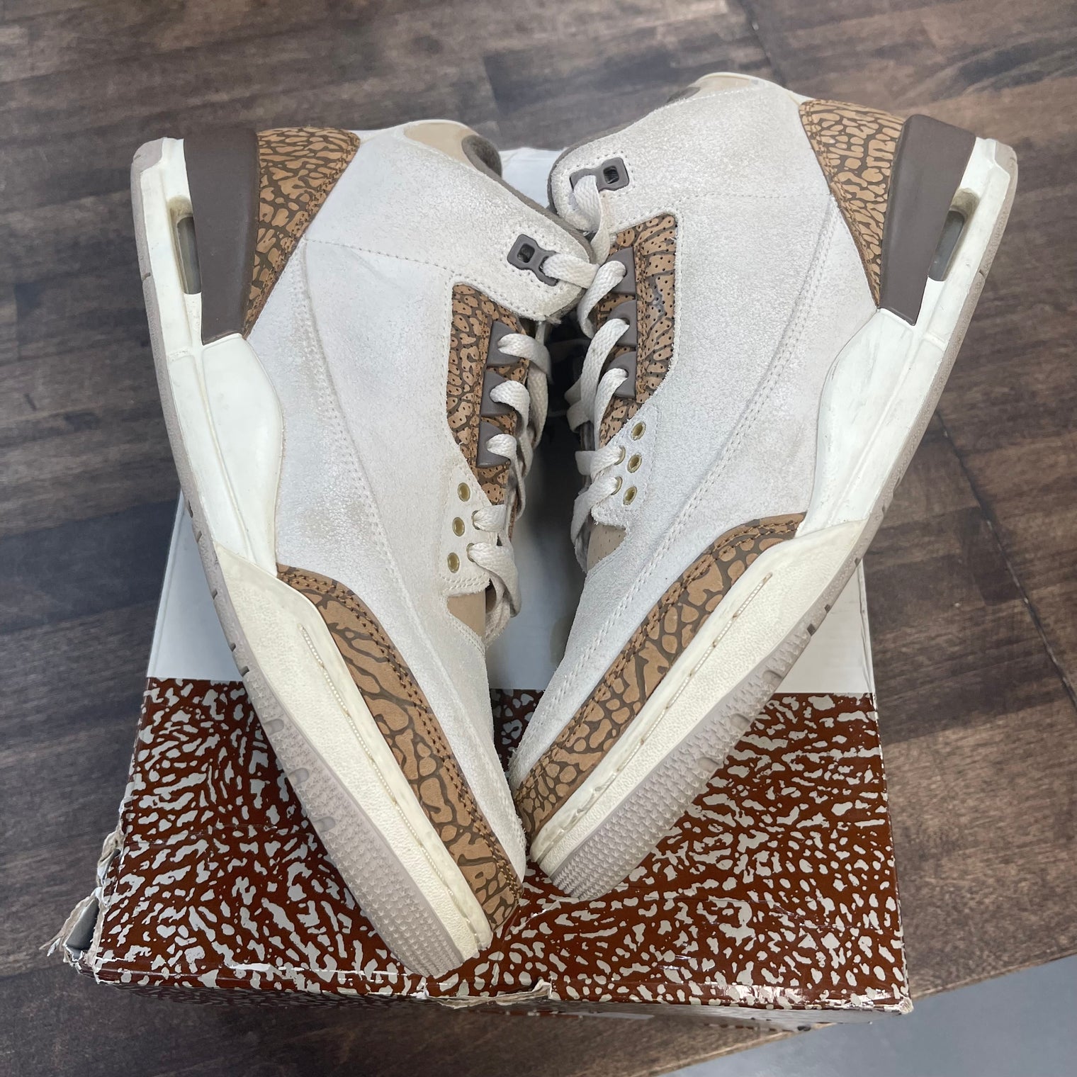 Palomino Jordan 3 (USED)