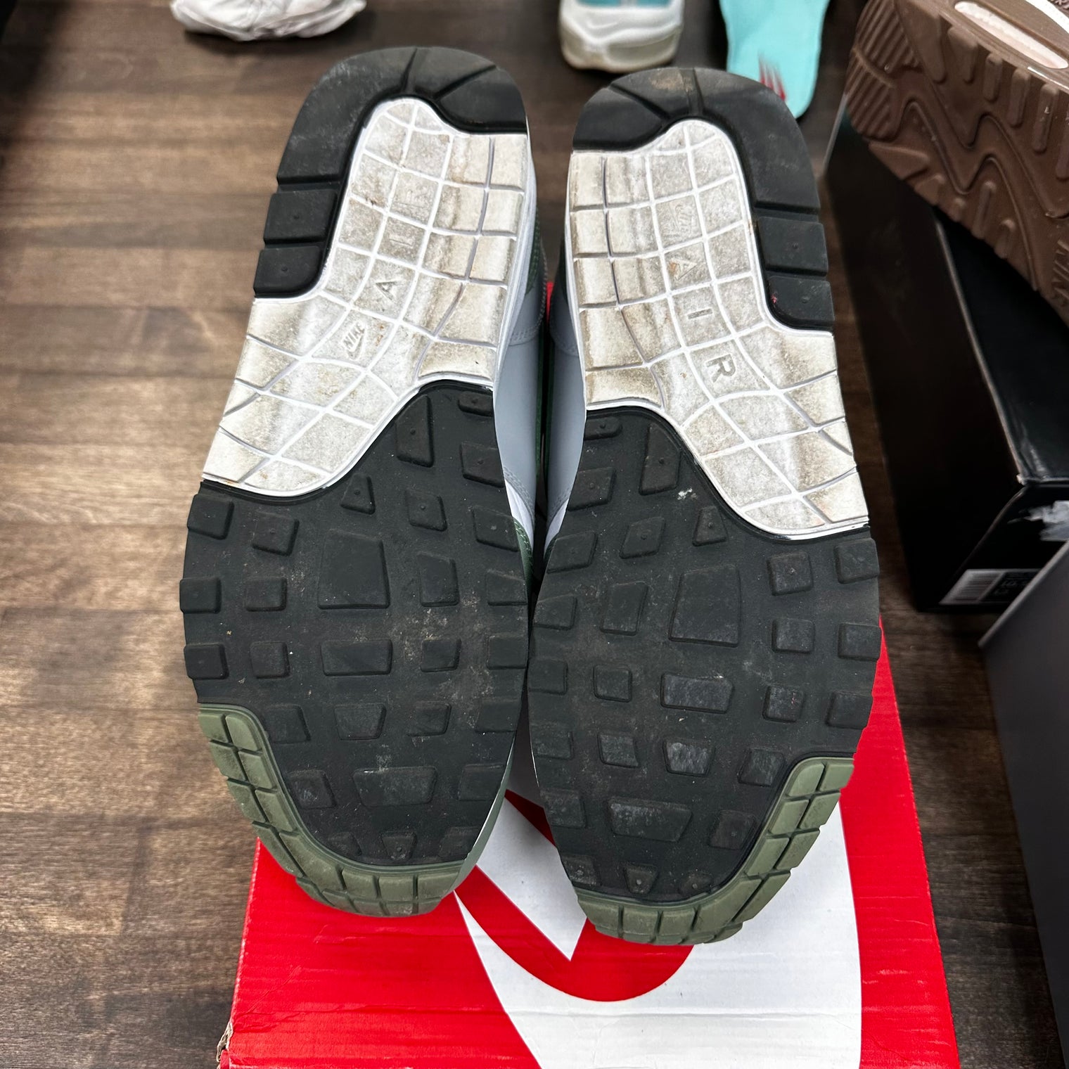 Spiral Sage Air Max 1 (USED)