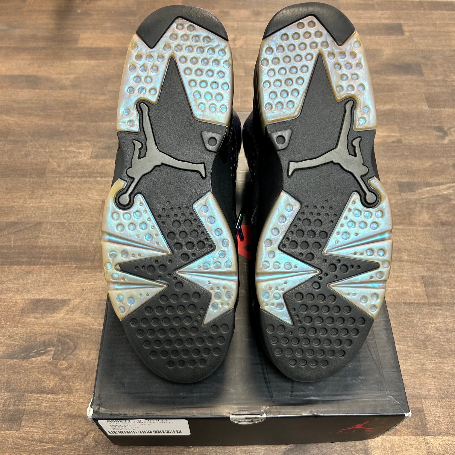 Chameleon Jordan 6 Retro (USED)