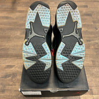 Chameleon Jordan 6 Retro (USED)
