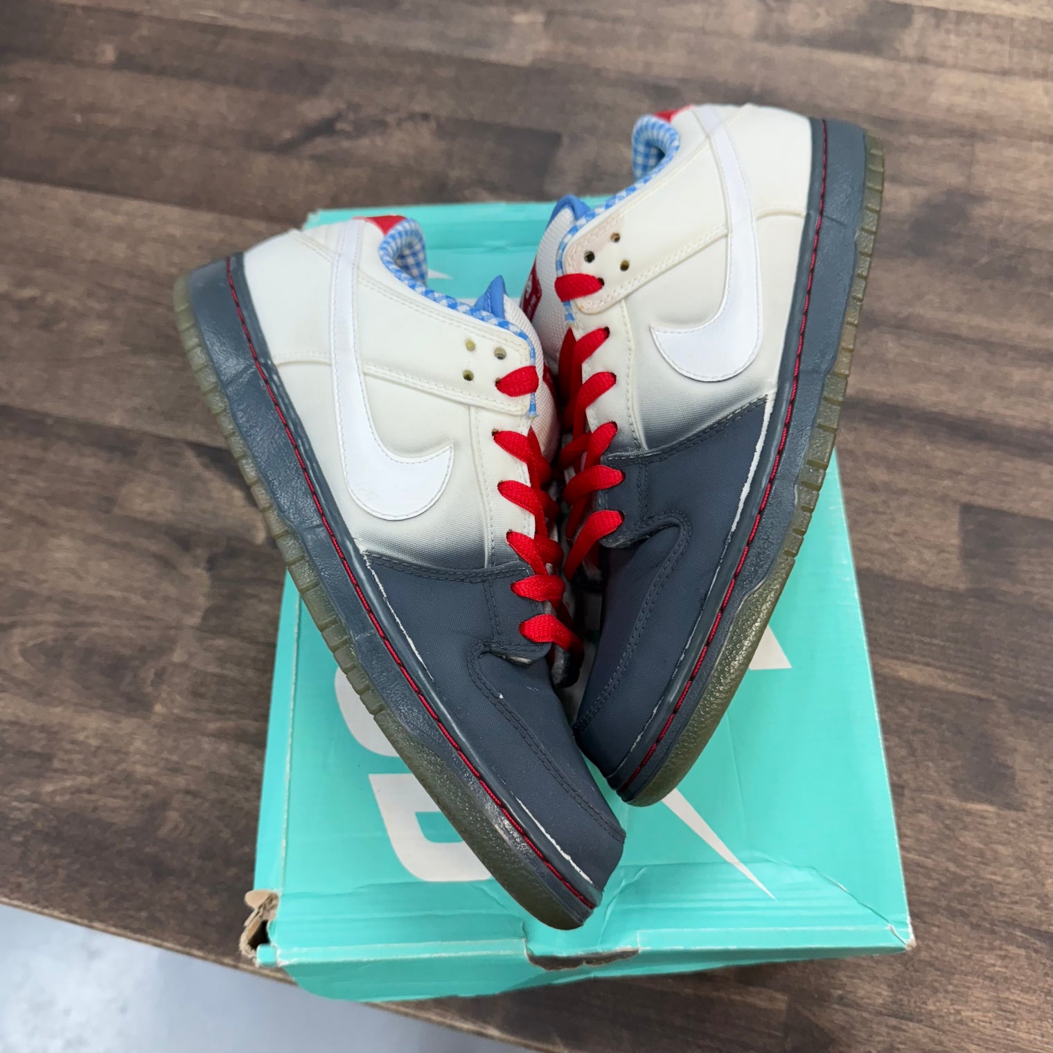 Dorothy SB Dunk Low (USED)