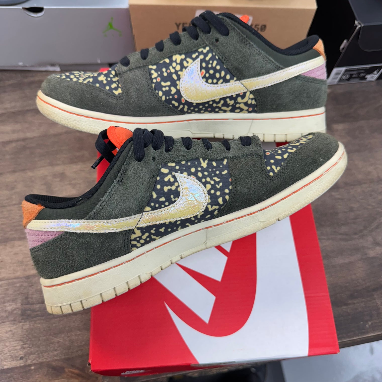 Gone Fishing Rainbow Trout Dunk Low SE (USED)
