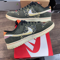 Gone Fishing Rainbow Trout Dunk Low SE (USED)