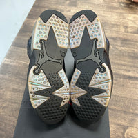 All Star Chameleon Jordan 6 Retro (USED, Replacement Box)