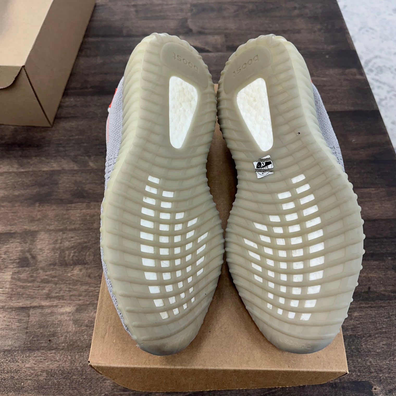 Tail Light Yeezy 350 (USED, No Box)