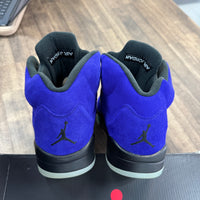 Alternate Grape Jordan 5 (USED)