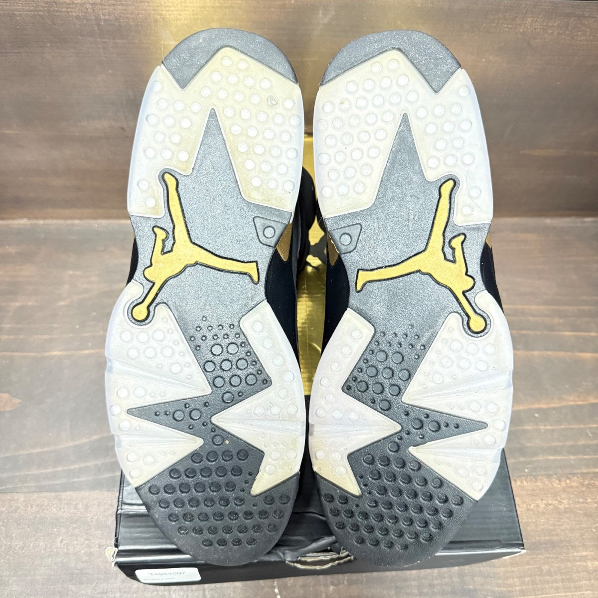 Jordan 6 Retro DMP (2020) Size 10 (Pre-Owned)