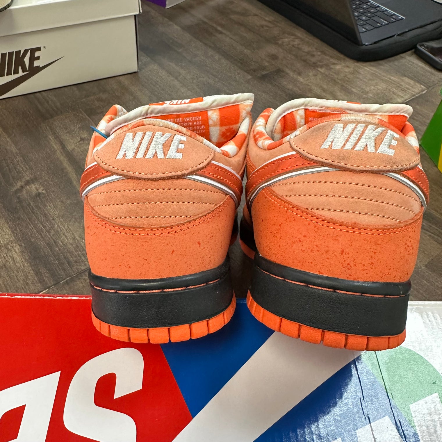 Orange Lobster SB Dunk Low (USED)