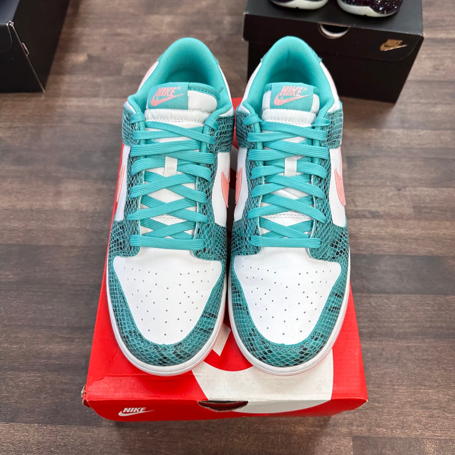 Teal Snake Nike Dunk Low (USED)