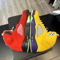 What The Jordan 5 Retro (USED)