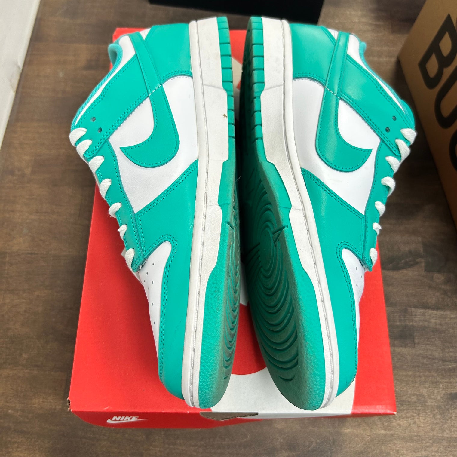 Clear Jade Dunk Low (USED)