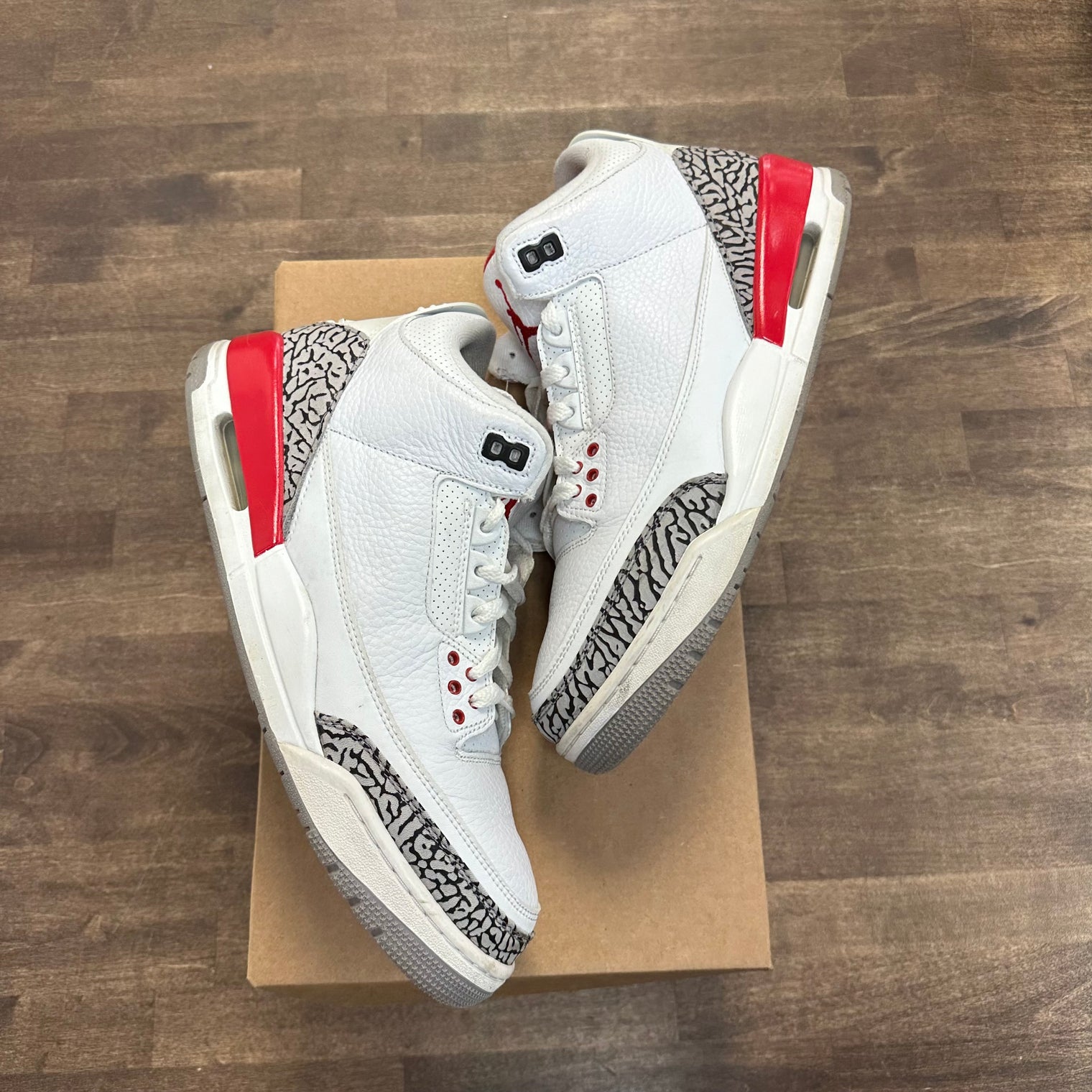 Hall of Fame Jordan 3 Retro (USED, No Box)